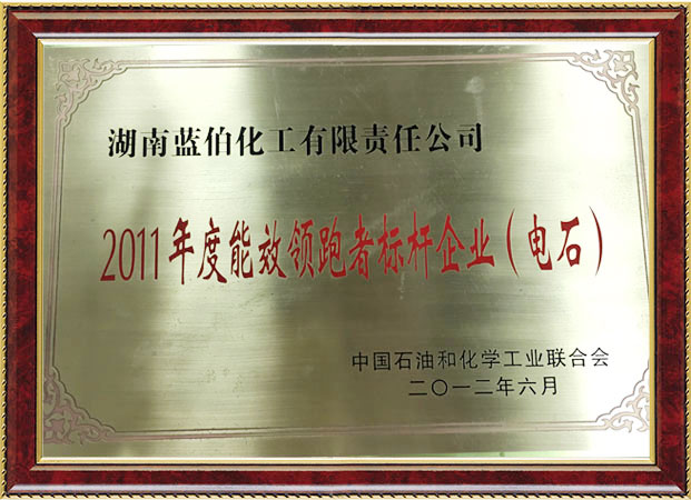 能效领跑者标杆企业