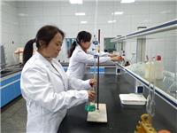 公司实验室