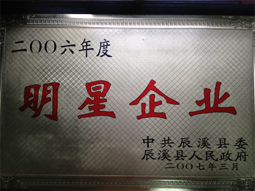 2006年度明星企业
