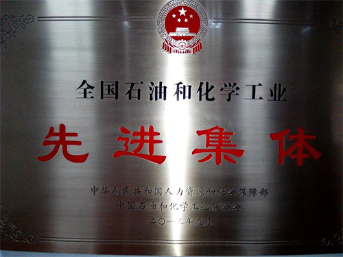 2013全国石业和化学企业先进集体